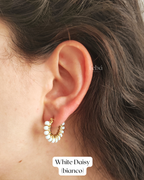 ArmoHoops - Collezione Primavera