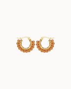 ArmoHoops - Collezione Autunno